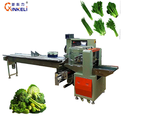 Envasadora automática de verduras con servomotor
