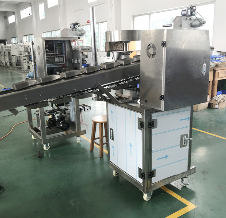 KL-160B Dried Fruit Packing Machine