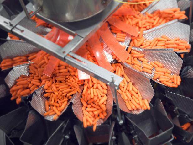 baby carrot packing machine