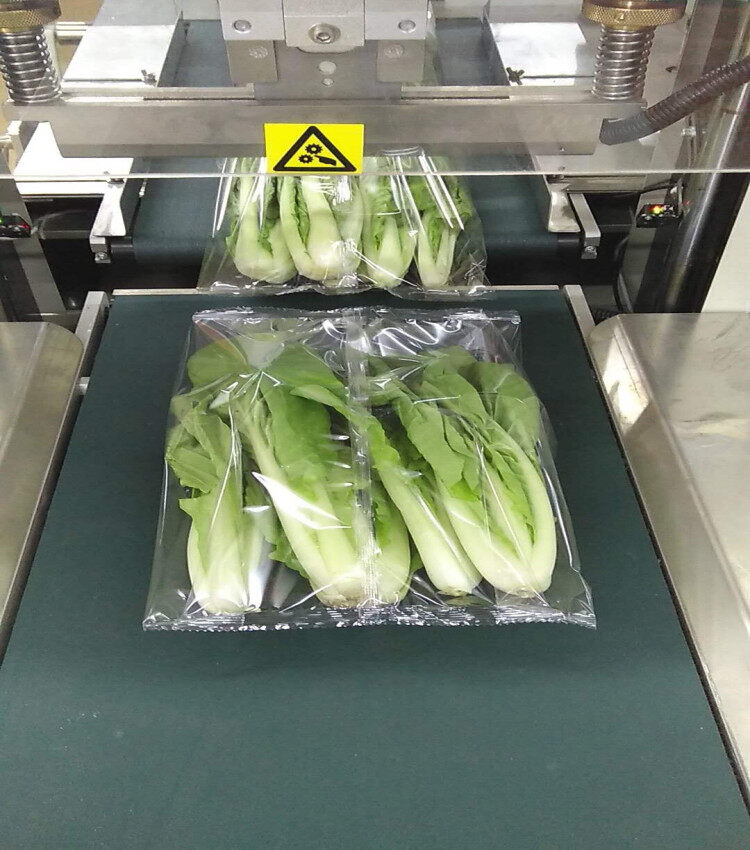 vegetable wrapping machine