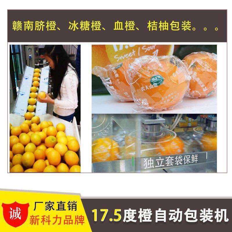 máquina de envasado de frutas para naranja y manzana individuales