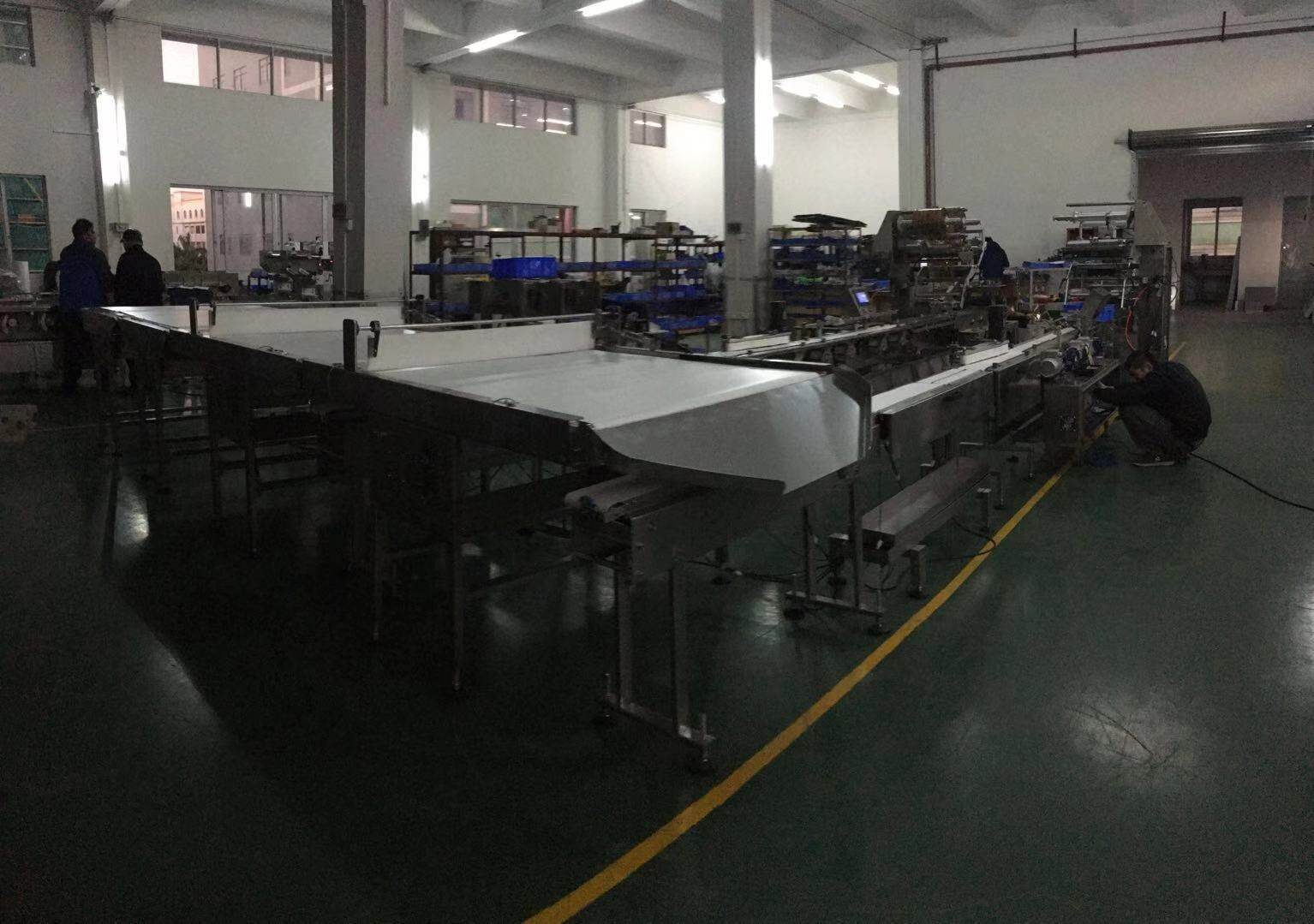 Automatic  Packaging Feeding Line Sinking Type