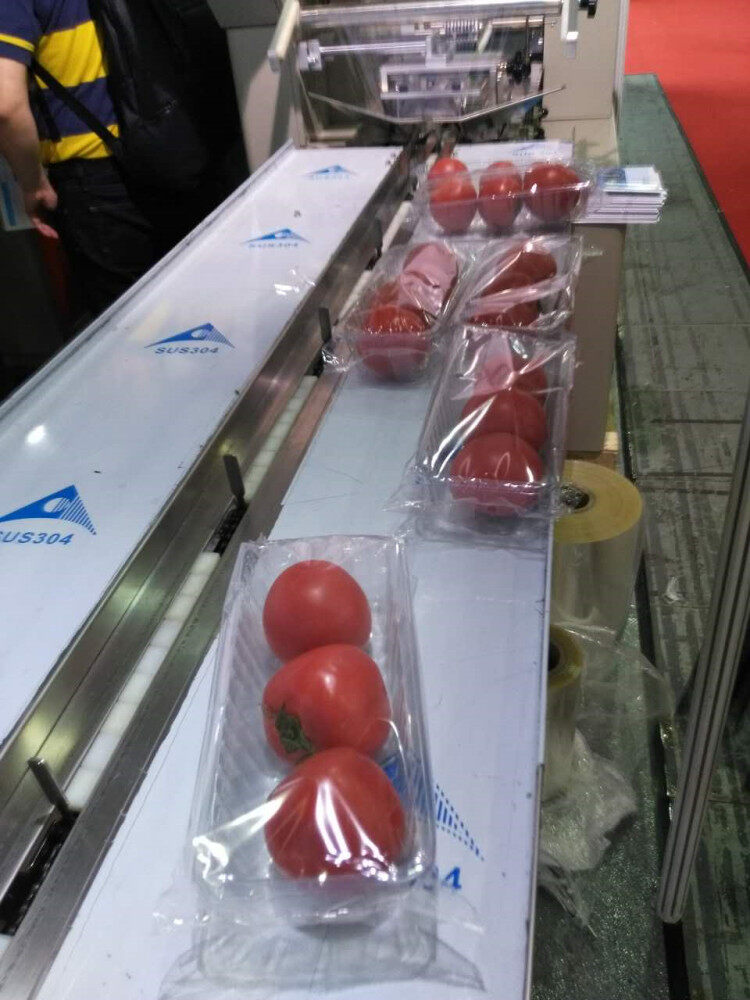 Fresh Tomato  Packing machin with tray
