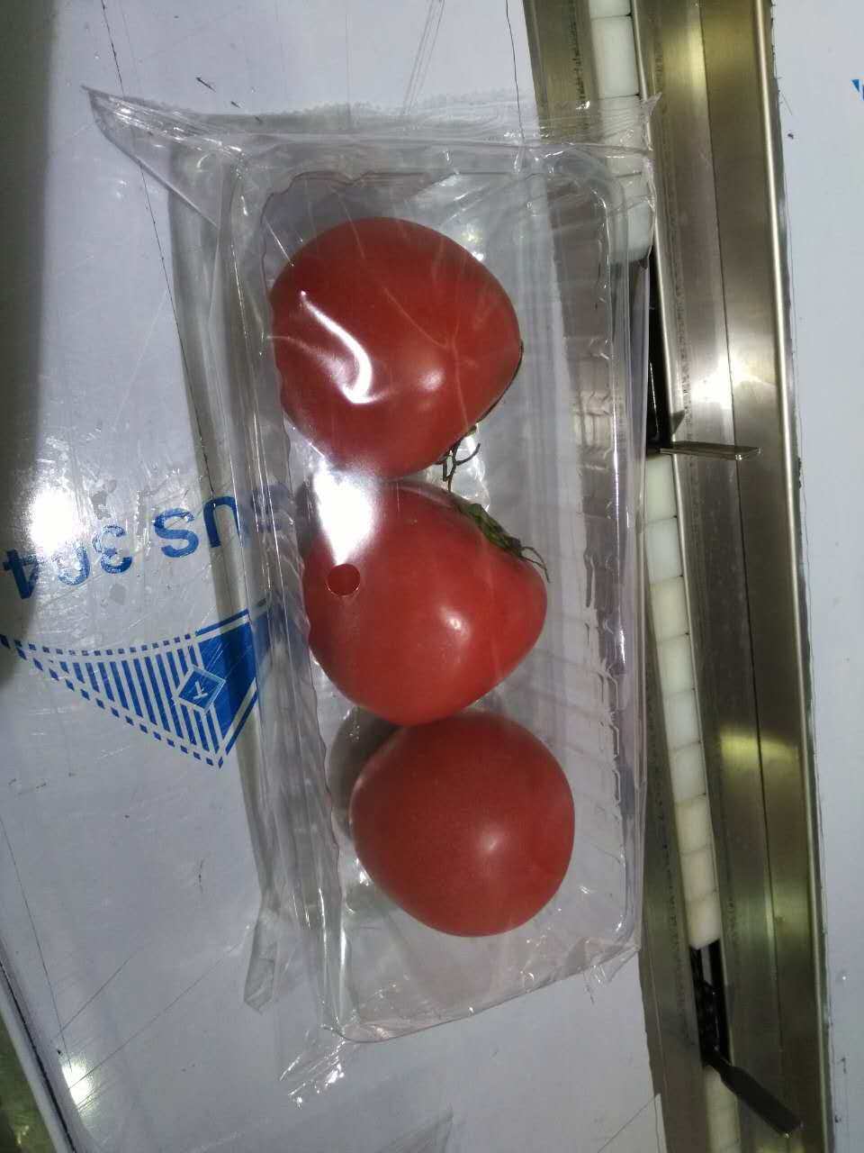 Fresh Tomato  Packing machin with tray