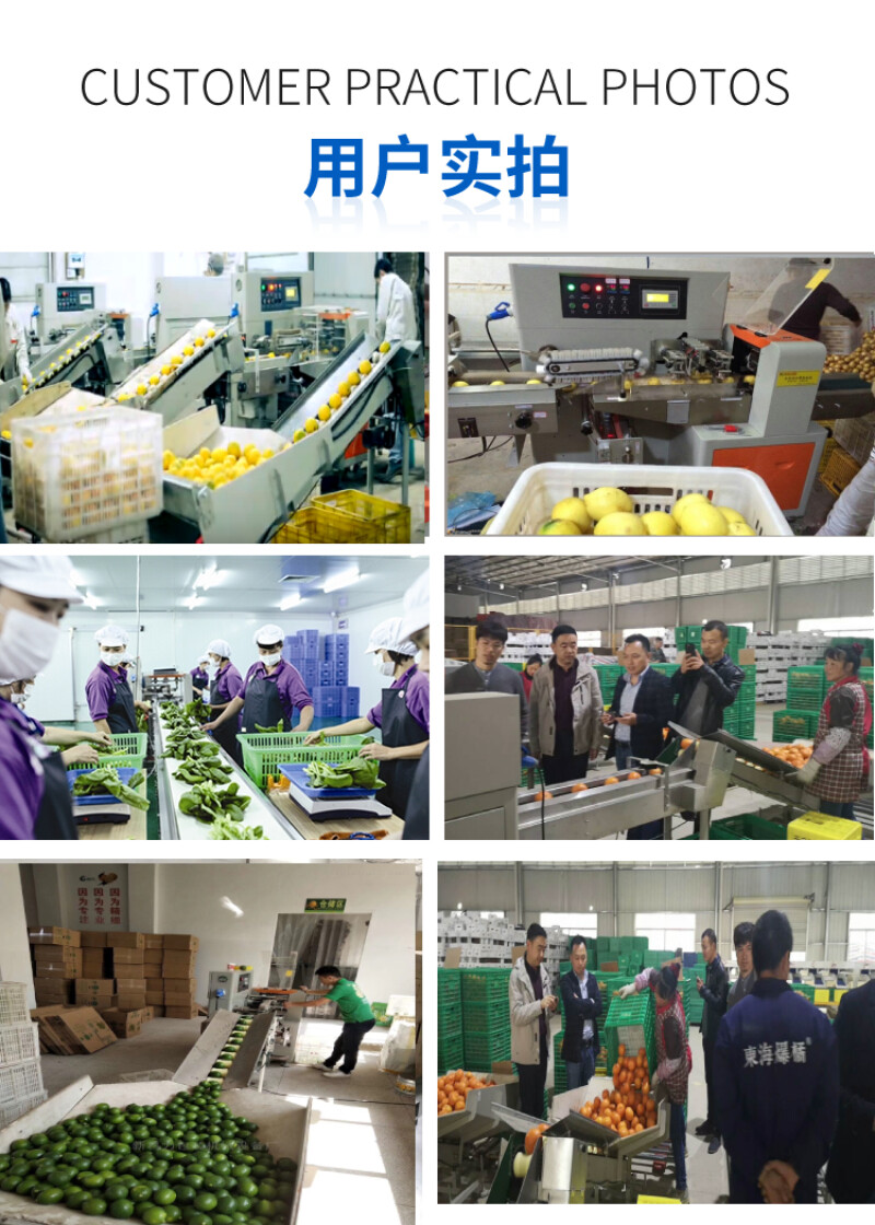 fruit and vegetable packing machine