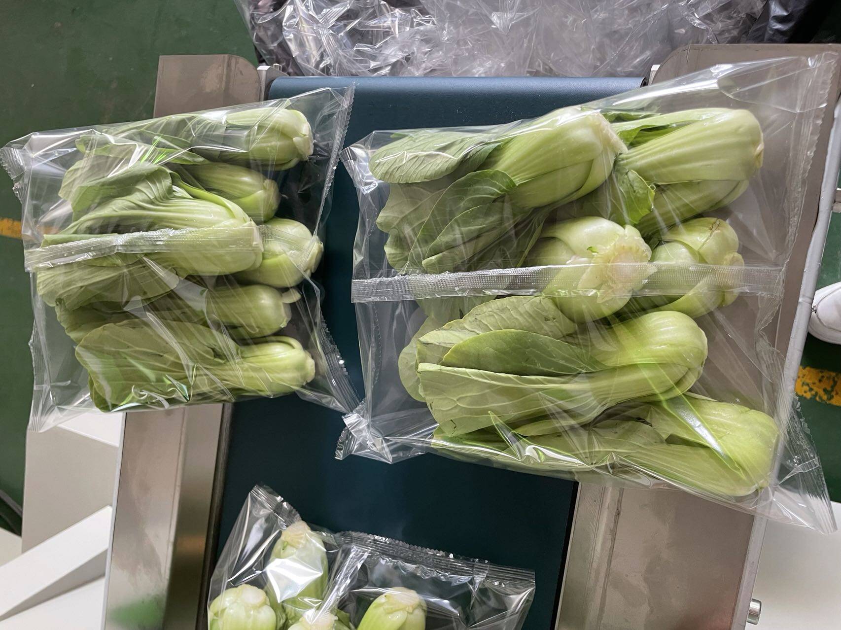 lettuce packaging  machine