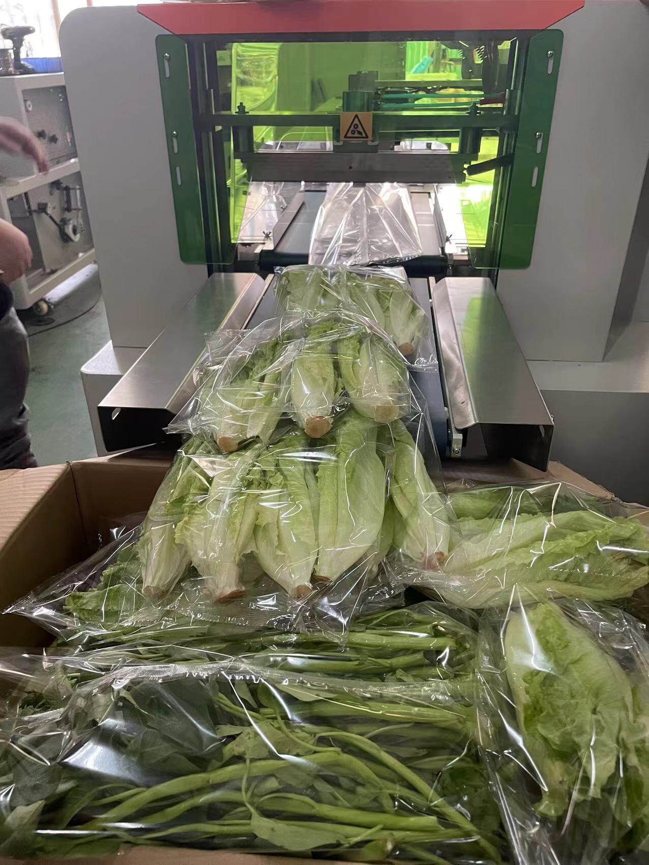 lettuce packaging  machine